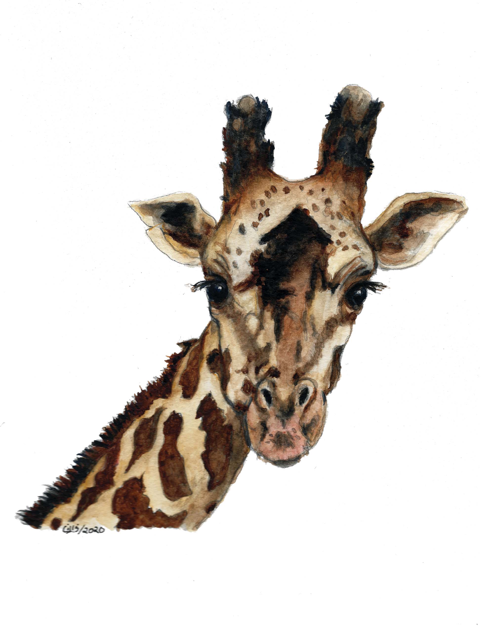 Product image 59
